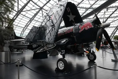 DSC_7098 (Large).JPG